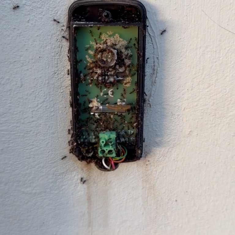 Dépannage de portails automatiques dans les Alpes-Maritimes : des fourmis dans les cellules de sécurité provoquent deux pannes le même jour.